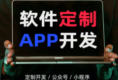 H5商城小程序开发 网站搭建系统制作定制设计