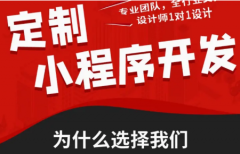 专业小程序开发服务，让想法照进现实