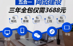 网站设计与搭建｜定制化网页开发服务