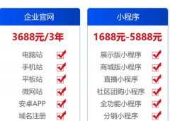 网站设计与搭建｜定制化网页开发服务