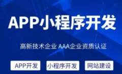 专业定制开发｜官网｜小程序｜APP